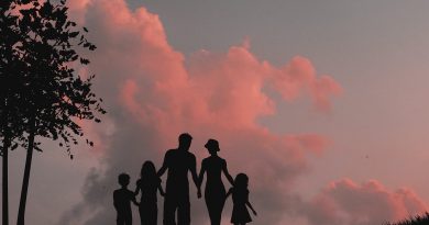 Family Silhouette Mother Father  - AlemCoksa / Pixabay