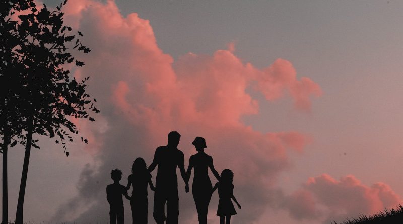 Family Silhouette Mother Father  - AlemCoksa / Pixabay