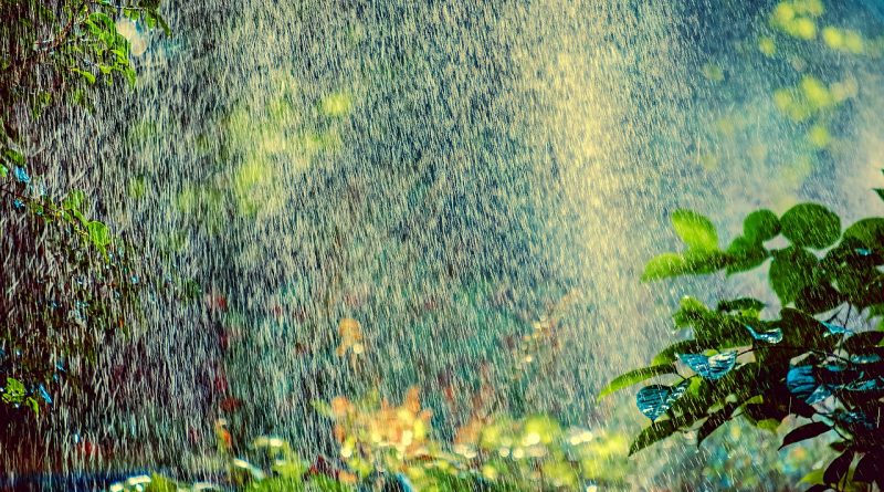 Sprinkler Irrigation Backlighting  - Couleur / Pixabay