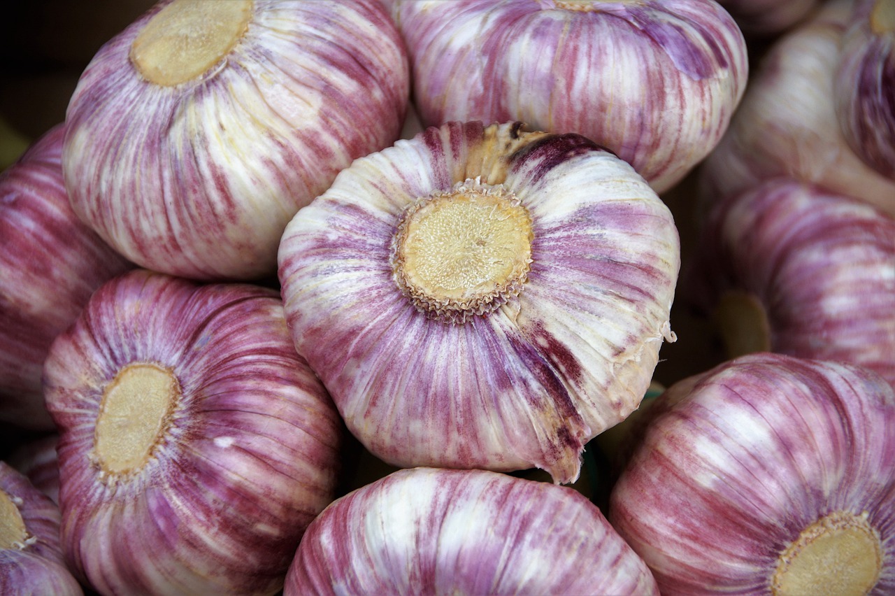 Garlic Food Harvest Vegetables - ivabalk / Pixabay