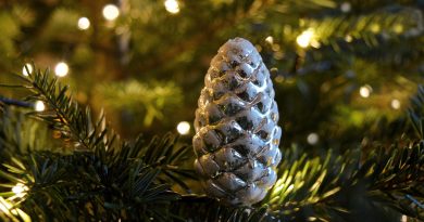Christmas Tree Pine Cone Christmas  - neelam279 / Pixabay