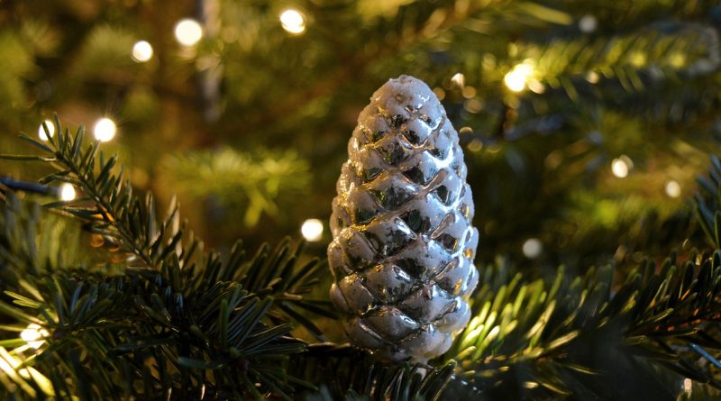 Christmas Tree Pine Cone Christmas  - neelam279 / Pixabay