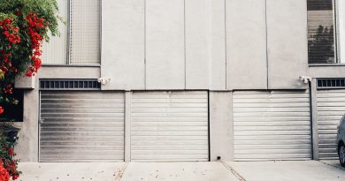 Garage Doors Driveway Flowers  - StockSnap / Pixabay