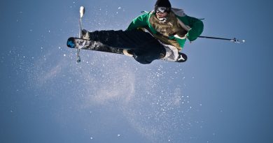 Ski Skiing Skier Snow Winter  - nils9three / Pixabay