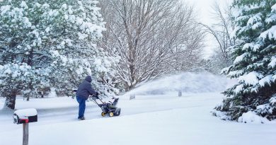 Snow Snow Blowing Snowblower  - JillWellington / Pixabay