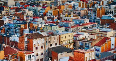 town, buildings, houses