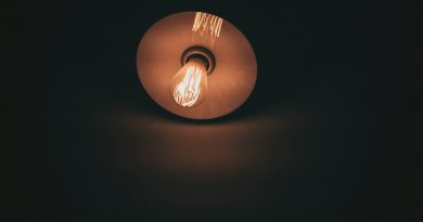 round brown LED light bulb